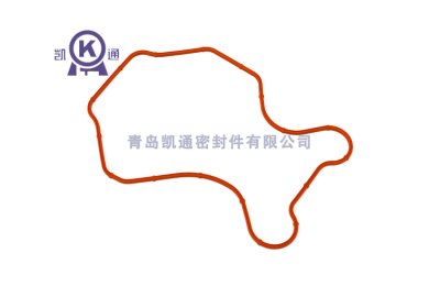 异形橡胶密封圈